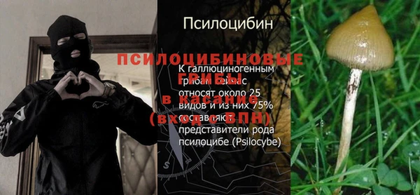 jwh Абинск