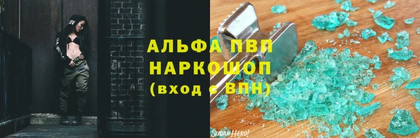 спайс Инта