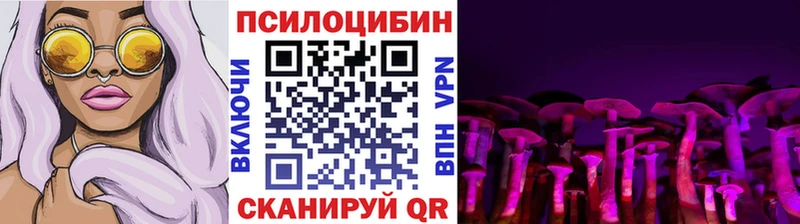 ОМГ ОМГ ссылка  Братск  Галлюциногенные грибы мицелий 