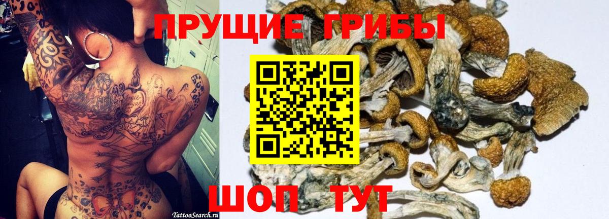Псилоцибиновые грибы GOLDEN TEACHER  Вход с VPN  Братск 
