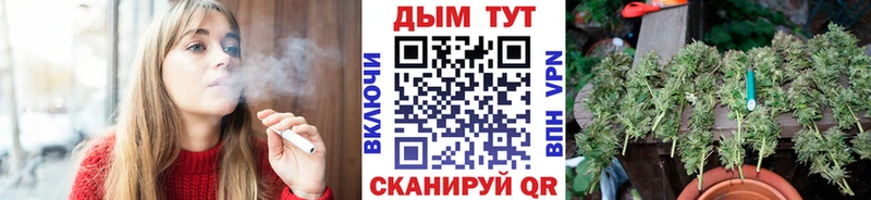 Конопля MAZAR  Братск 